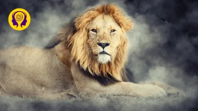 Fearless