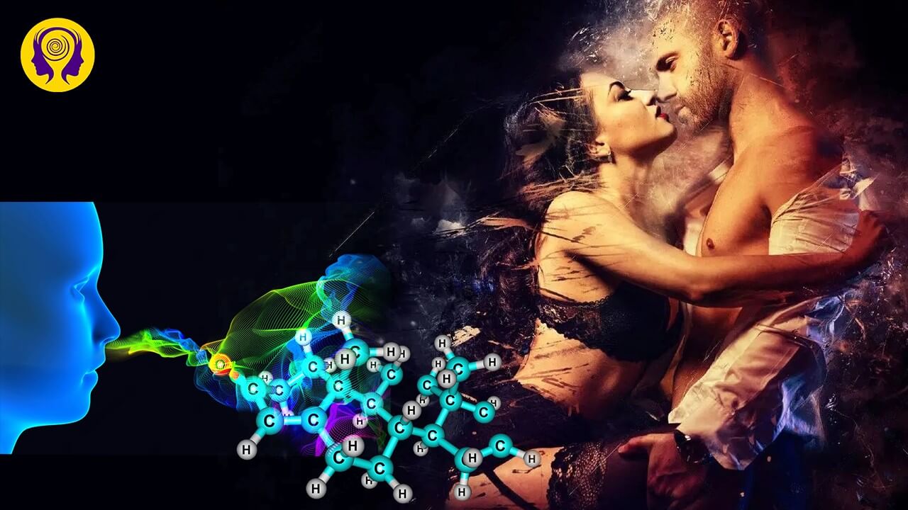 Male Pheromone Booster